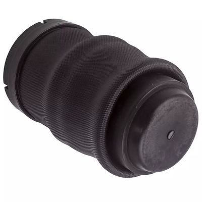 W638 Air Spring traseira