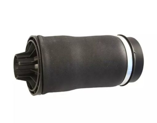 W251 Air Spring traseira