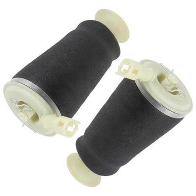 Alto desempenho para Ford Air Rear Spring Brand New 3U2Z5580AA, 3U2Z5580BA