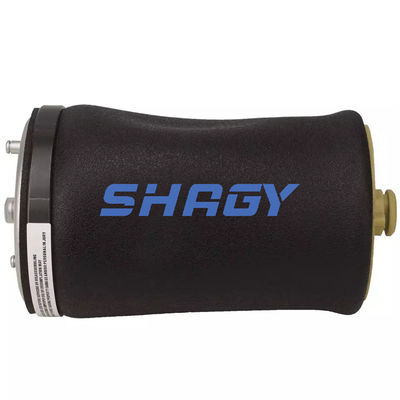 Adequado para BMW X5 E53 Atrás à esquerda 37121095579 Air Spring