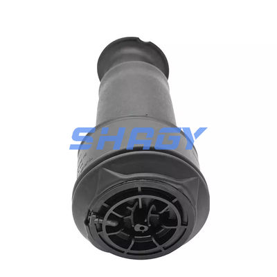 Para a Mercedes Citroen C4 traseira 96819460805102 GN5102R8 Primavera de ar