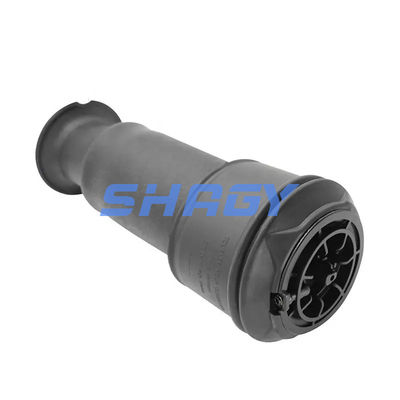Para a Mercedes Citroen C4 traseira 96819460805102 GN5102R8 Primavera de ar