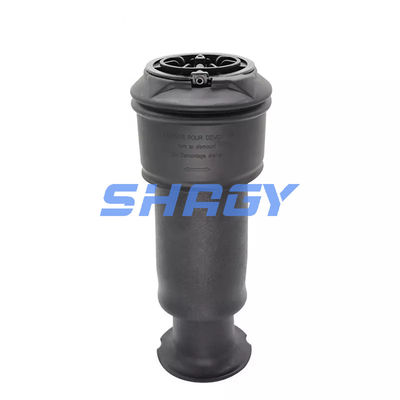 Para a Mercedes Citroen C4 traseira 96819460805102 GN5102R8 Primavera de ar
