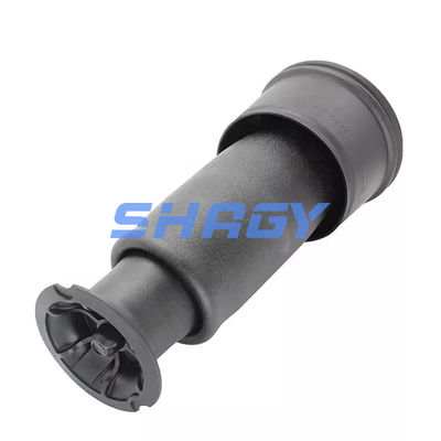 Para a Mercedes Citroen C4 traseira 96819460805102 GN5102R8 Primavera de ar